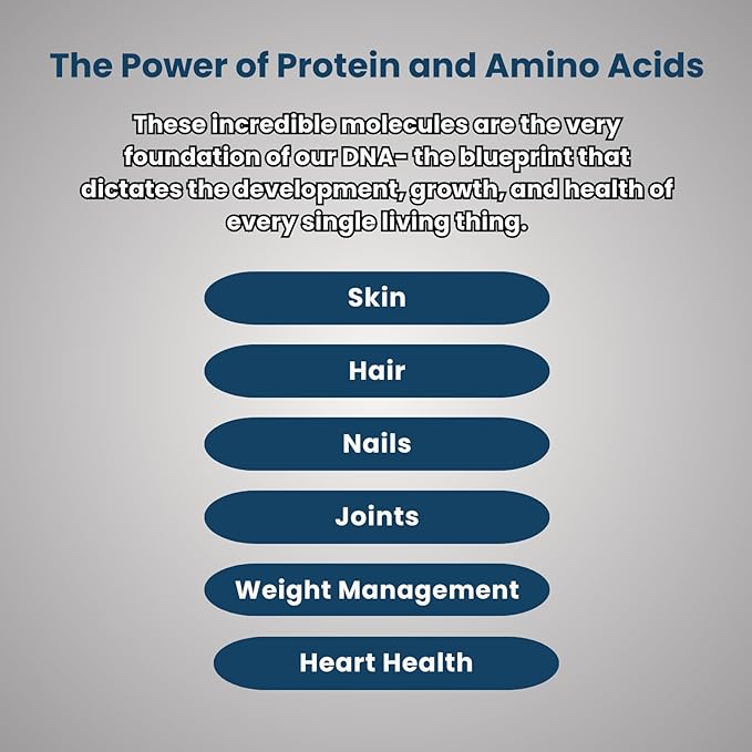 Plant Protein Vanilla Powder