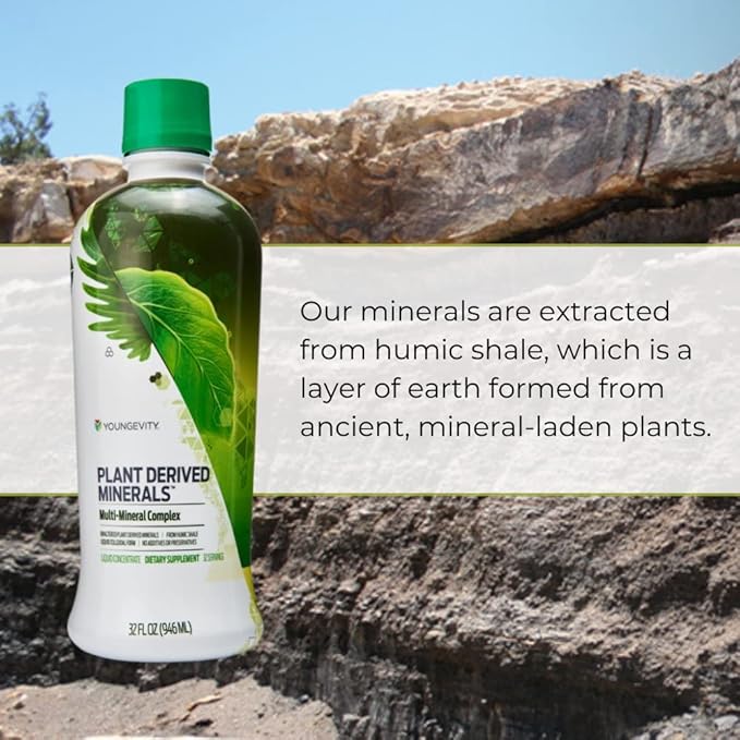 Youngevity Plant Derived Liquid Minerals - 77+ Natural Unaltered Trace Minerals - 19000mg Plant Mineral Solids - Colloidal Form Humic Shale - (32 oz Pack of 2)