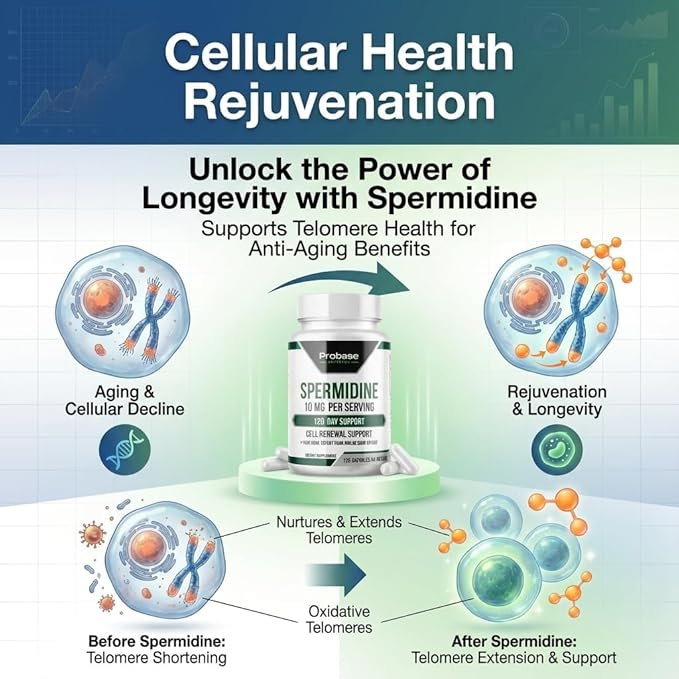 Probase Nutrition Spermidine (10mg of 99% Spermidine 3HCL - Third Party Tested) 120 Capsules - 100x More Potent Than Wheat Germ Extract Telomere Health and Aging 120-Day Supply - As efficient as NMN