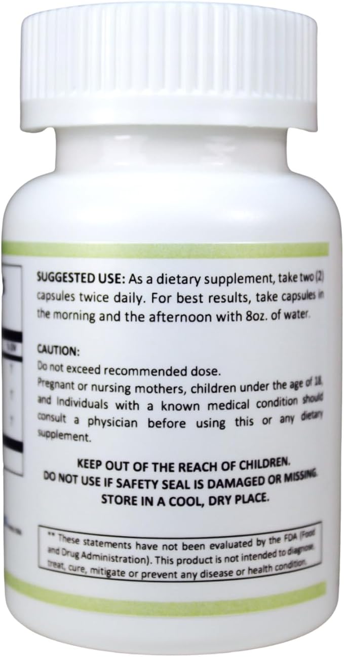 LiverControl Liver Support Supplement with Burdock Root Papaya Seed &amp Choline – Supports Liver Health and Function – 120 Vegetarian Capsules