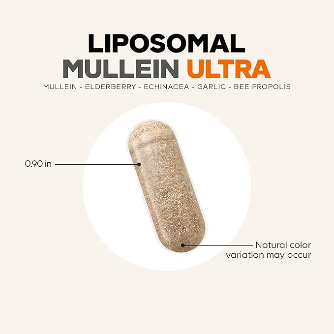 Codeage Liposomal Mullein Ultra Supplement - Mullein 10:1 Extract Elderberry Bee Propolis Echinacea Ginger Root Andrographis Kudzu Vitamins Elecampane Eleuthero Isatis Non-GMO - 90 Capsules