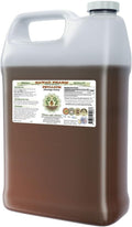 Psyllium Alcohol-Free Liquid Extract Psyllium (Plantago Ovata) Seed Glycerite Natural Herbal Supplement Hawaii Pharm 64 fl.oz
