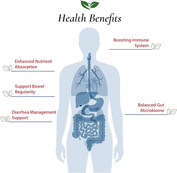 Foods For Gut Bacillus Subtilis Probiotic Powder 200 Billion cfu's | No Additives | Direct from Manufacturer | No Third-Party Storage| Digestive &amp Immune Support | B. Subtilis | 30 Gram (1.05 Oz)