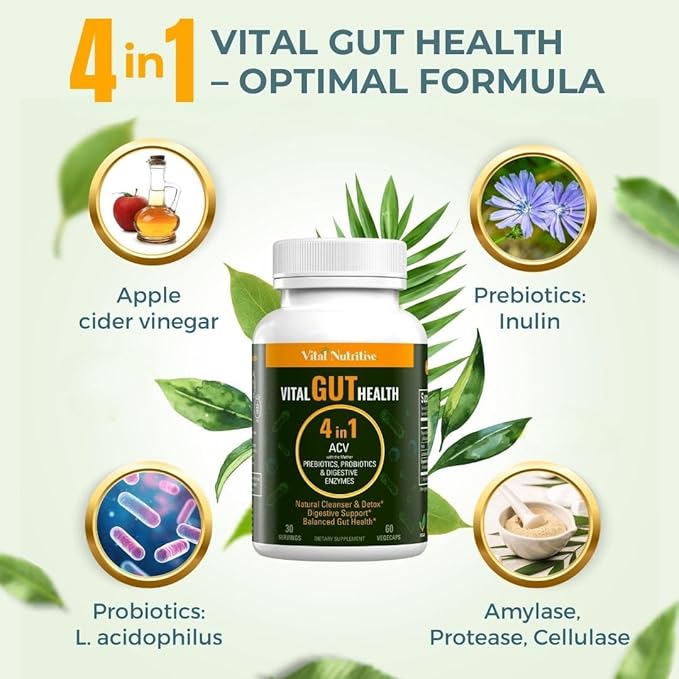 Vital Gut Health 4in1 Formula with Apple Cider Vinegar Prebiotics &amp Probiotics Digestive Enzymes for Strong Immunity Support and Complete Gut and Digestion Support- 30 Days Supply