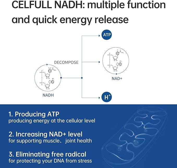 CELFULL NADH Supplement 40mg Enchance NMN Alternative NAD+ Supplement for Immune Support Anti-Aging Boost Brain Cognition &amp Chronic Fatigue Supplements (Deep Blue 30 Tablets)