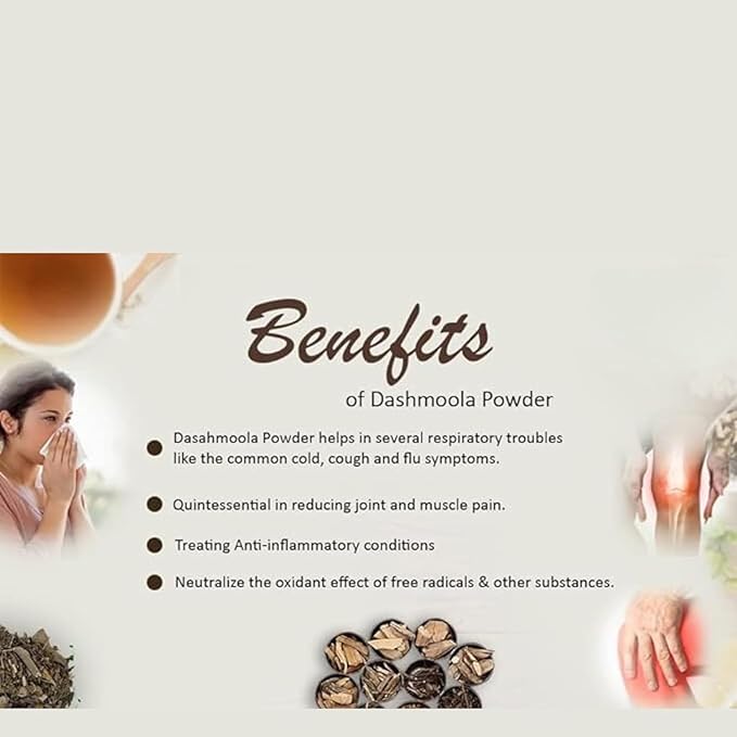 Generic DD Ayurveda Dashmool Powder | 200gm | Dasamoola | Kwath