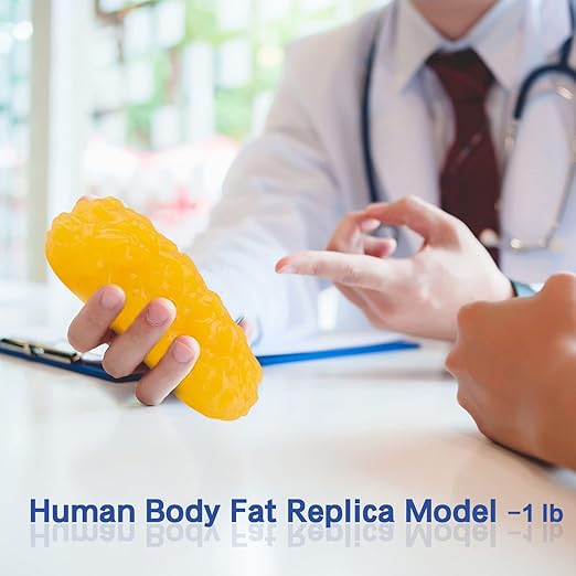 Human Body Fat Replica 1 lb Fat Anatomy Model for Anatomy Class Display Stay Healthy Weight Loss Motivation Reminder