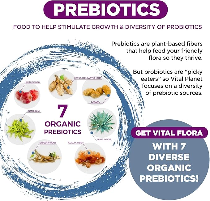 Vital Planet - Vital Flora Women Over 55 Daily Probiotic 60 Billion CFU Diverse Strains Organic Prebiotics Vaginal and Immune Support Digestive Health Probiotics for Women 60 Capsules