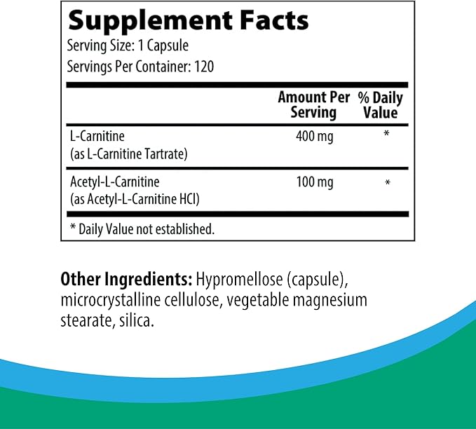 Rootcology by Dr. Izabella Wentz | Carnitine Blend | L-Carnitine &amp Acetyl-L-Carnitine Formula | Ideal for Vegetarians | 120 Capsules