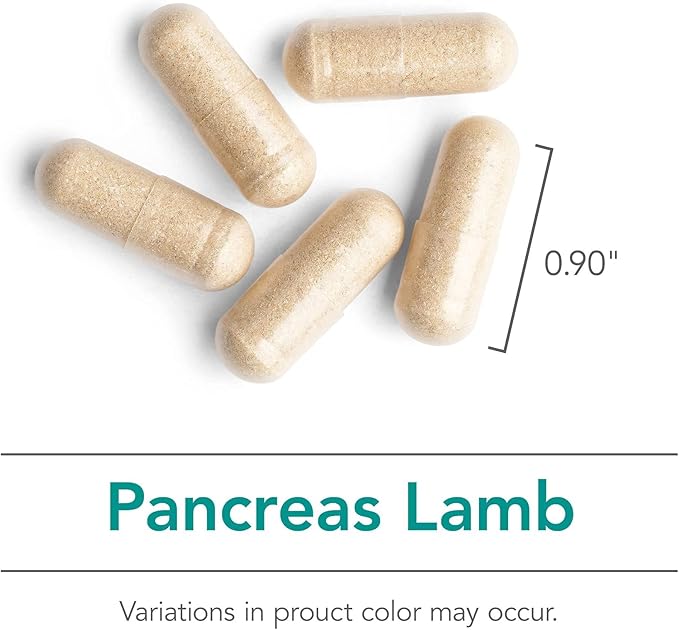 Nutricology Pancreas Lamb - Freeze Dried Pancreas Tissue - Supports Digestive System - Hypoallergenic Formula - 90 Servings - 90 Count