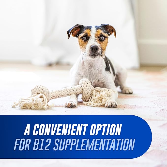Nutramax Laboratories Cobalequin B12 Supplement for Cats and Small Dogs 45 Count (Pack of 2)