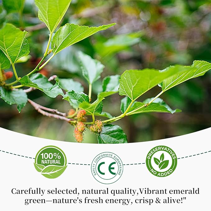 Baihuatang Natural Dried Mulberry Leaf 200g/7.05oz Premium Mulberry Leaves (桑叶茶) Sun-Dried Sugar-Free Caffeine-Free No Additive