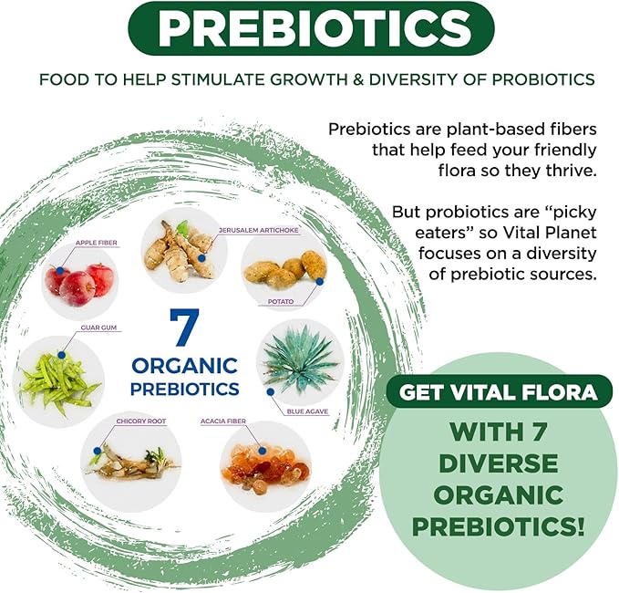 Vital Planet - Vital Flora Adults Over 50 Daily Probiotic 60 Billion CFU 60 Diverse Strains 7 Organic Prebiotics Immune Support Gas Digestive Health Probiotics for Women and Men 30 Capsules