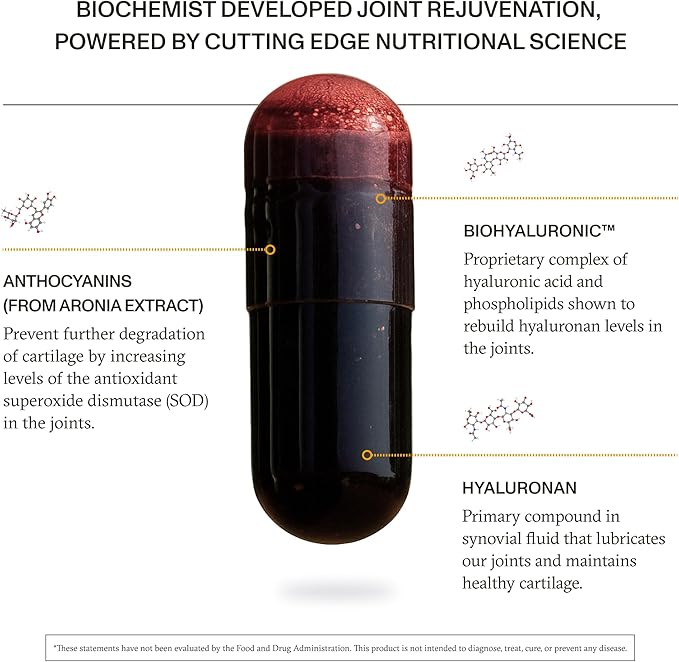 Synchro - Rejuve Joint Support Supplement Non-GMO Cartilage and Joint Support Joint Supplement with Hyaluronic Acid and Anthocyanins 60 Joint Health Supplement Capsules