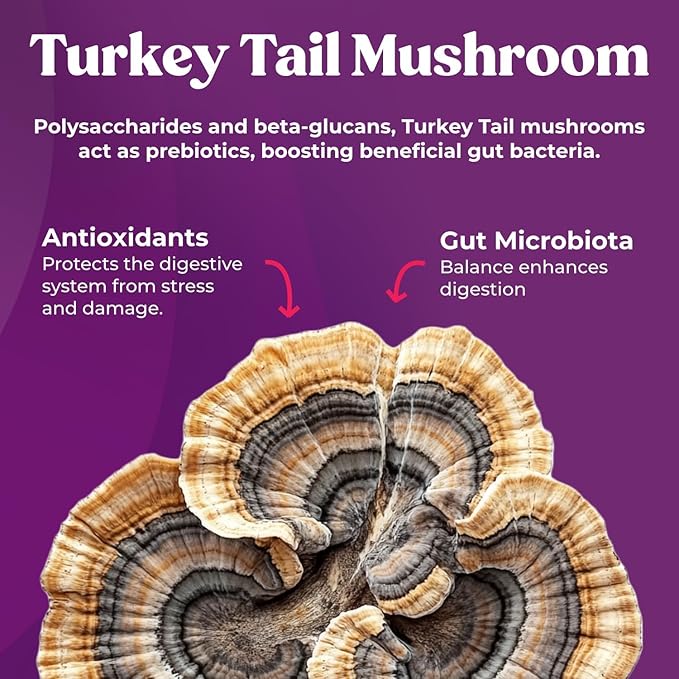 Fungiments Super Prune – Constipation Relief &amp Digestive Support Turkey Tail Mushrooms Prebiotic Fiber Rhubarb Ginger &amp Chamomile – Gut Health Debloating &amp Regularity (30 Gummies)