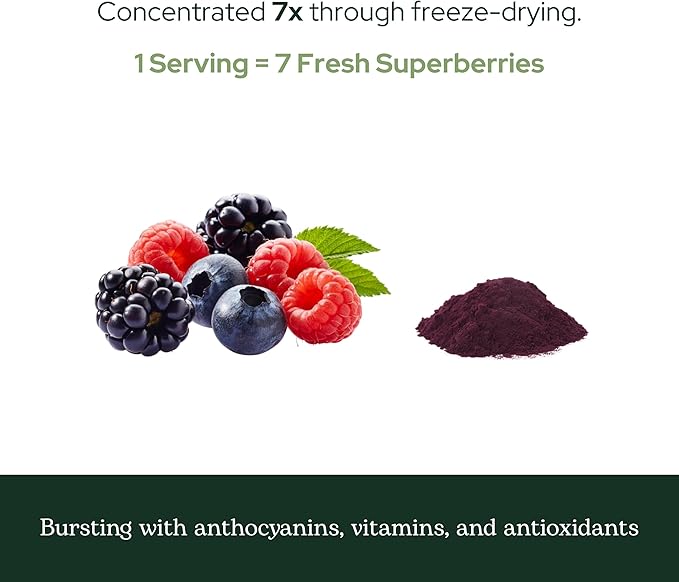 Eclectic Herb - Nutrigenomc Superberry Superfood Berry Supplement Powder | Nutritional Support | Antioxidant + Immune Support | Natural Vegan Non-GMO Gluten Free (3.2 oz | 90 g)