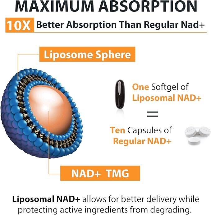Orgabay Liposomal NAD+ Supplement 500 mg High Absorption Boost NAD+ with TMG 250 mg Actual NAD Plus More Efficient Than Nicotinamide Riboside Support Cellular Energy Healthy Aging | 120 Softgels