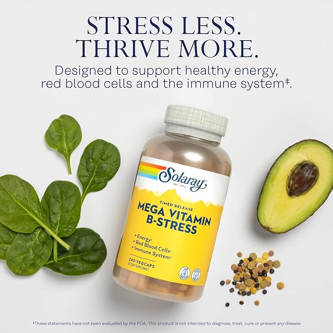 SOLARAY Mega Vitamin B-Stress - Timed Release Vitamin B Complex w/Vitamin B12 B6 Folic Acid VIT. C - Stress Energy Red Blood Cell Immune Support - Vegan 60-Day Guarantee (240 CT)