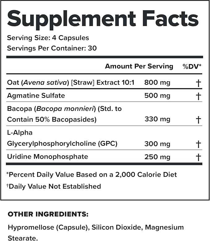 LEGION Athletics Ascend Nootropic - All-Natural Brain Supplements for Memory and Focus - Nootropics Brain Support Supplement with Alpha-GPC - Brain Supplement for Alertness &amp Mood Support 30 Serv