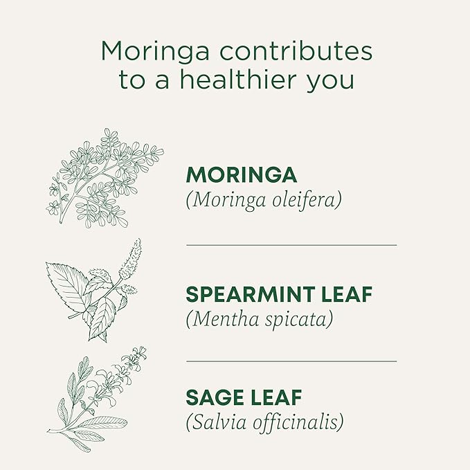 Traditional Medicinals Tea Organic Moringa Everyday Wellness with Spearmint &amp Sage 16 Tea Bags (Pack of 2)