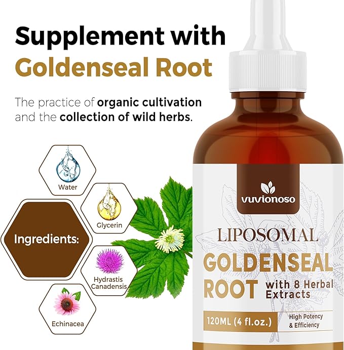 Golden Seal Tincture 3000mg - Goldenseal Root for Immune &amp Lung Care - Sugar-Free Vegan Fast Absorbing - Echinacea &amp Goldenseal Liquid Extract 120 mL (2 Pack)