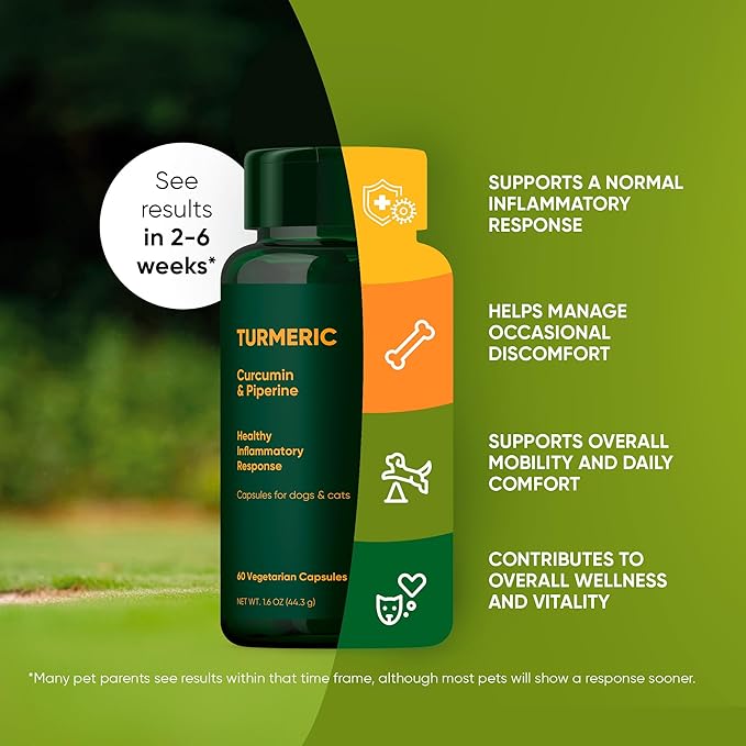 Rooted Owl Turmeric - Turmeric Supplement for Dogs and Cats - with Curcumin Piperine and Vitamin C for Anti-Inflammatory Relief - 60/ct