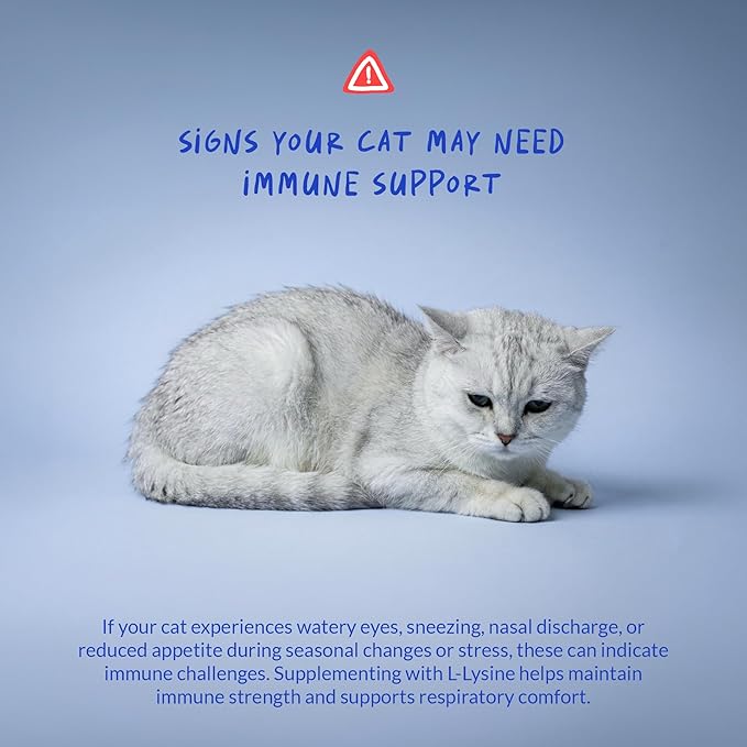 L-Lysine Supplement for Cats 900mg/scoop - Cat Supplement for Sneezing and Runny Nose Cold Immune Support Eye Function and Respiratory Health – Lysine Powder