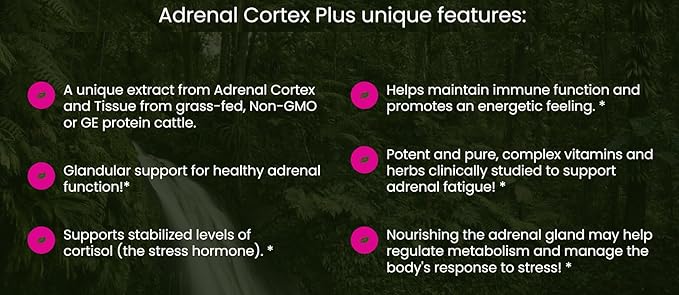 All In Nutritionals Adrenal Cortex + Adrenal Support Cortisol Support Herbal Supplement
