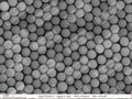 Alpha Nanotech Colloidal Polystyrene Beads (Non-Functionalized 800 nm 10 mg/ml 10 ml)