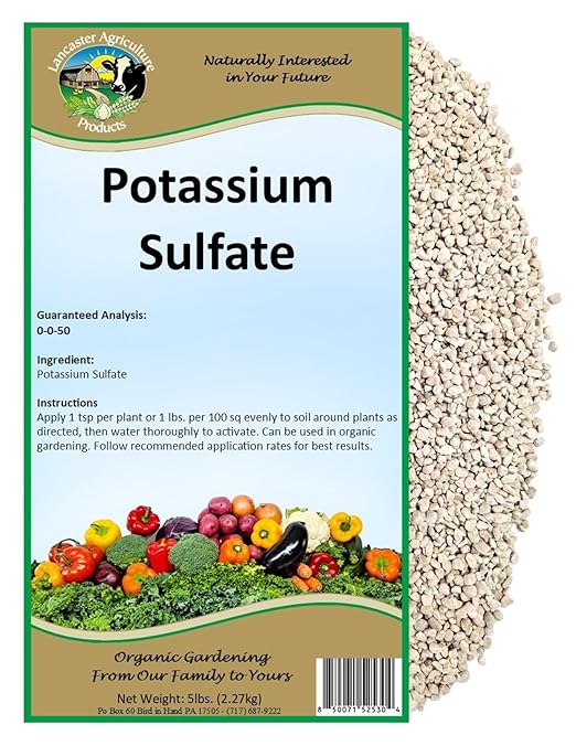 Potassium Sulfate 5 Pounds for Vegetable Gardens - Essential Nutrient for Plant Growth Soil Enrichment and Crop Yield Optimization - Lancaster Agriculture Products