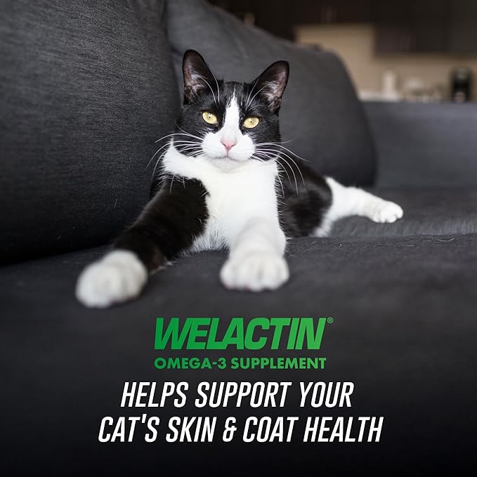 Welactin Omega-3 Skin and Coat SupportLiquid4 ozGreen(Pack of 2)