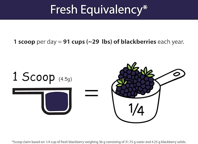 KOYAH - Organic BlackBerry Powder: 30 Servings (1 Scoop = 1/4 Cup Fresh): Freeze-Dried Whole-Berry Powder Raw