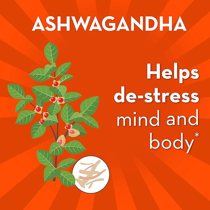 Align Probiotic Gut Health + Stress Support with Probiotics for Digestive Health and Ashwagandha to Help Calm Mind and Body* #1 Doctor Recommended Brand‡ 21 Capsules (Pack of 2)
