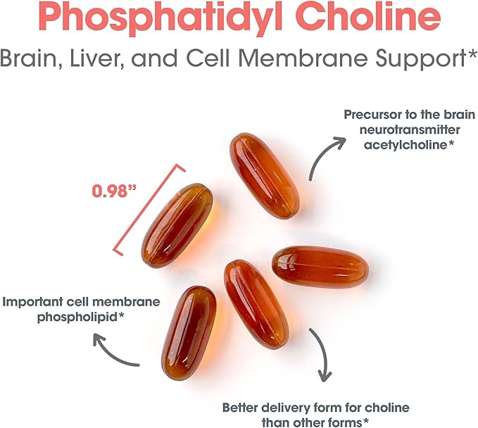 Allergy Research Group ARG Phosphatidyl Choline - 385 mg Phosphatidylcholine Lecithin - Brain Liver &amp Cell Membrane Support - Softgel Capsules - Soy-Based Supplement - 100 Servings - 100 Count