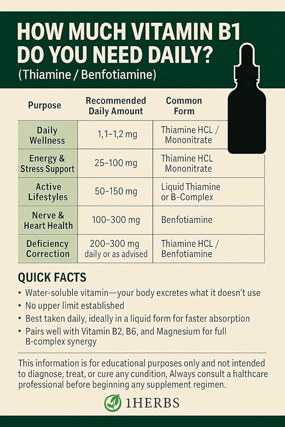 Liquid Vitamin B1 Thiamine Mononitrate 100mg per Serving– High-Potency Thiamine Drops for Energy Nerve Health &amp Mood Support – Alcohol-Free Fast-Absorbing Non-GMO Made in USA