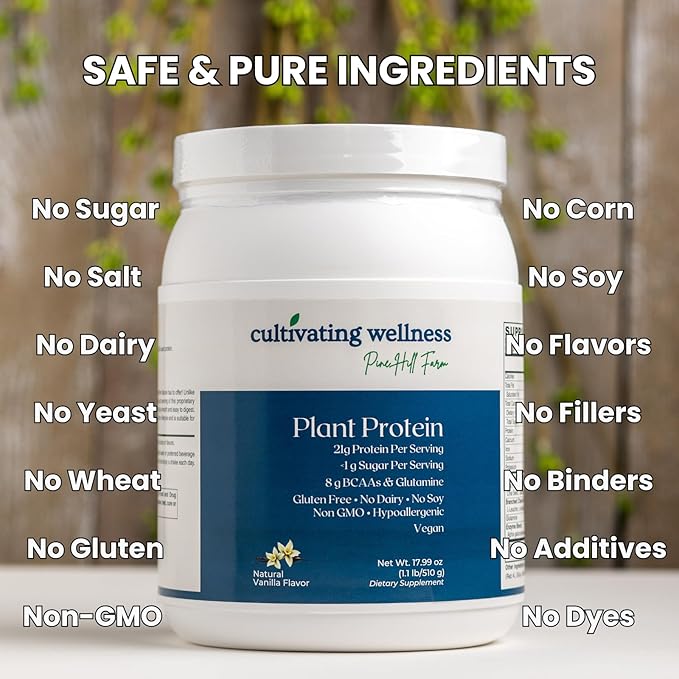 Plant Protein Vanilla Powder