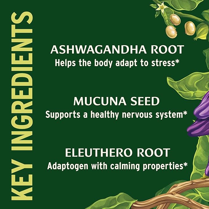 Banyan Botanicals Organic Adrenal Nourish - Cortisol Support &amp Stress Relief Supplement - Natural Energy &amp Fatigue Support with Ashwagandha &amp Adaptogens - 90 Tablets - Non-GMO Vegan*