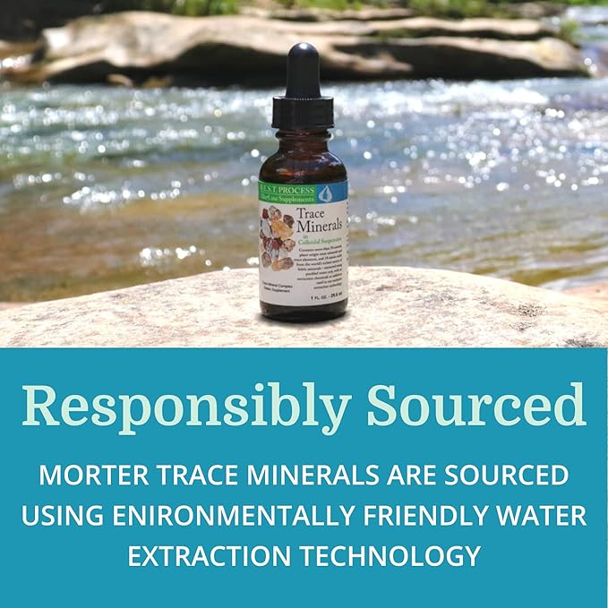 Morter Trace Minerals in Colloidal Suspension (6 Pack) Morter HealthSystem Best Process Alkaline — Nutrient Dense Trace Elements Fulvic Minerals &amp Amino Acids
