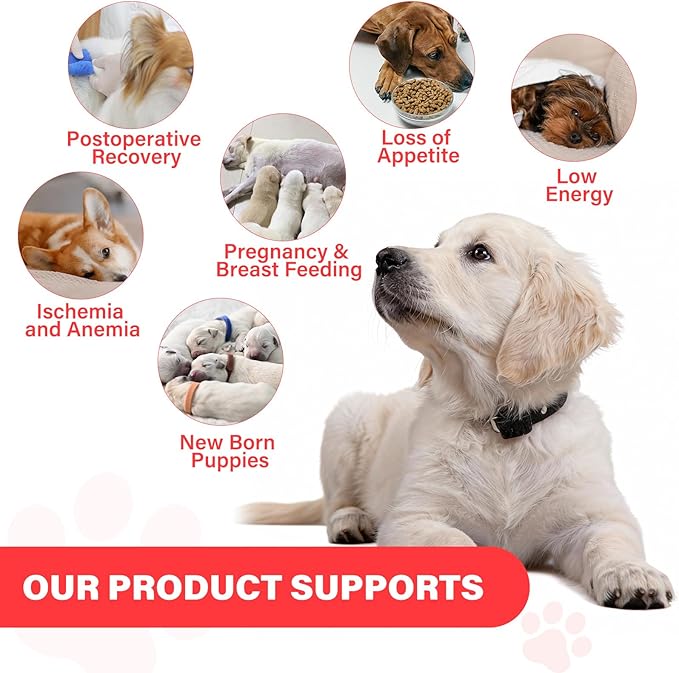 Iron Supplement for Dogs – Supports Blood Health Red Blood Cell Formation &amp Oxygen Supply for Anemia Vitamin C Folate Vitamin B12 Boost Energy and Improve Blood Circulation 120 Tablets