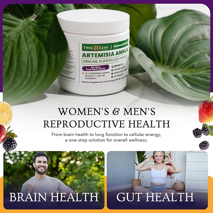 Artemisia Annua Sweet Wormwood Herbal Powder | Leaf Extract Brain Support | Artemisia Supplement | Sweet Wormwood Organic Extract | Non-GMO Vegan Gluten-Free | 30 Servings/8.5 Oz (240g)
