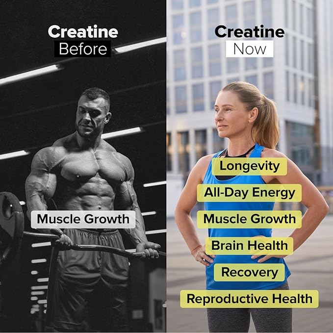 Complement Creatine Monohydrate Micronized Powder - Pre-Workout Post-Workout Muscle Recovery Brain Health Longevity Energy Supplements for Women and Men - Vegan Unflavored (5g 60 Servings)