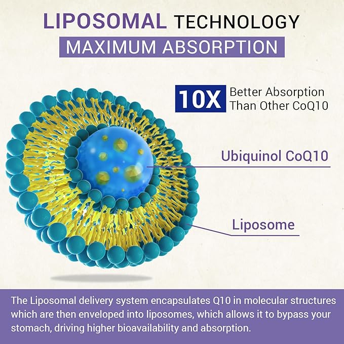 Liposomal Ubiquinol CoQ10 800 MG Softgel High Absorption CoQ10 Ubiquinol Supplement Active Coenzyme Q10 800mg Powerful Antioxidant for Heart &amp Brain Function Energy Production 120 Vegan Softg