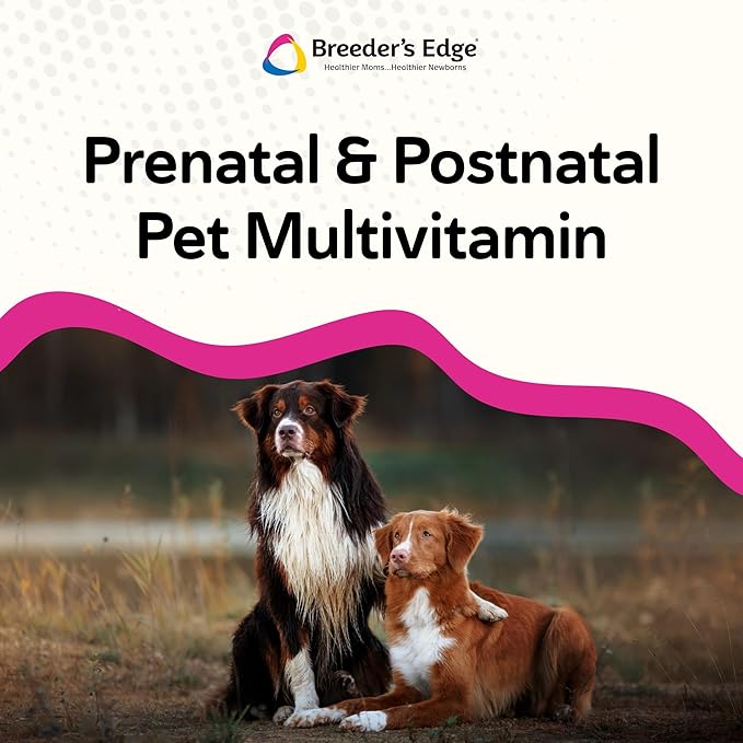 Breeder’s Edge Breed to Wean Prenatal and Postnatal Multivitamin for Dogs &amp Cats Supports Pregnant &amp Nursing Moms Supplement Provides Antioxidants Vitamins &amp Minerals 400ct for Medium