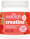 Wellah Creatine for Women (100 Servings Watermelon Slush) - Creatine Monohydrate with Dandelion &amp Cranberry Extract