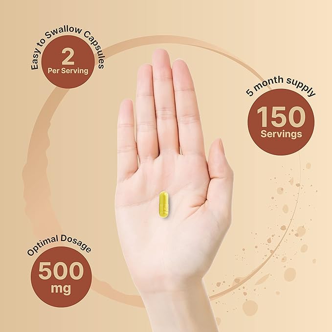 NatureBell Quercetin 500mg - 240 Capsules - Ultra Strength Supplement for Healthy Immune Support* - Quercetin Dihydrate from Sophora Japonica - Bioavailable Form