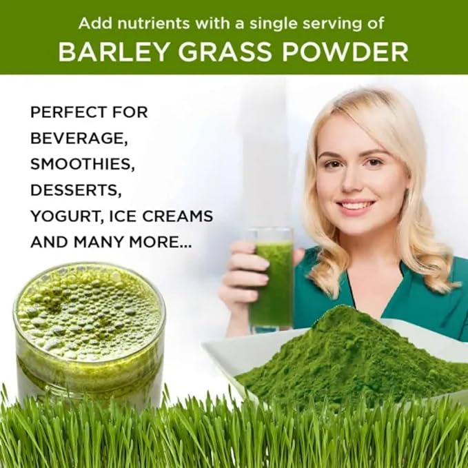 Naveta Barley Grass Powder 100% Pure &amp Organic Naveta Pure Organic Barley Grass Juice Powder Japan 20 Packs/Box (100 Packs)