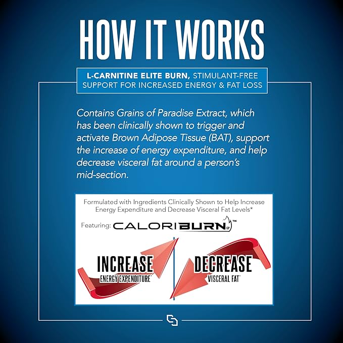 L-Carnitine Elite Burn Liquid Keto Fat Burner and Metabolism Activator - Fat Loss Support Keto Friendly Weight Loss Increase Energy-Stimulant Free - Malibu Beach Blast 3000mg (32 Servings)
