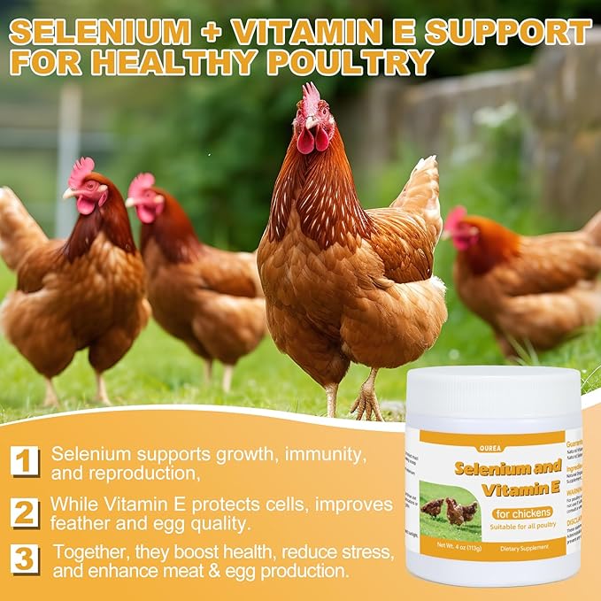 Selenium and Vitamin E Powder for Chickens Selenium for Chickens Immune System Muscle Support &amp Prevents Improve Wry Neck Selenium Vitamin E Supplements Suitable for All Poultry Chicken &a