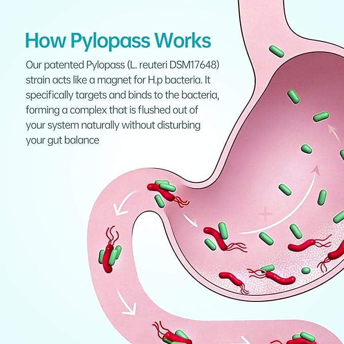 5-in-1 High Potency H. Pylori Probiotic 1 Per Day - Supports Gastric Lining Integrity Occasional Indigestion Acid Comfort - Pylopass Lactobacillus Reuteri Gluten Free Vegan 30ct Made in Germany