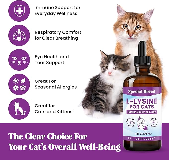 L-Lysine Supplement for Cats &amp Kittens – Immune Support Liquid for Feline Respiratory Health Sneezing Runny Nose &amp Watery Eyes – 250mg Lysine Cat Drops with Vitamins Complex – Chicken Flavor